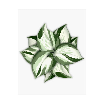 Manjula Pothos Botanical Print – Unframed Wall Art