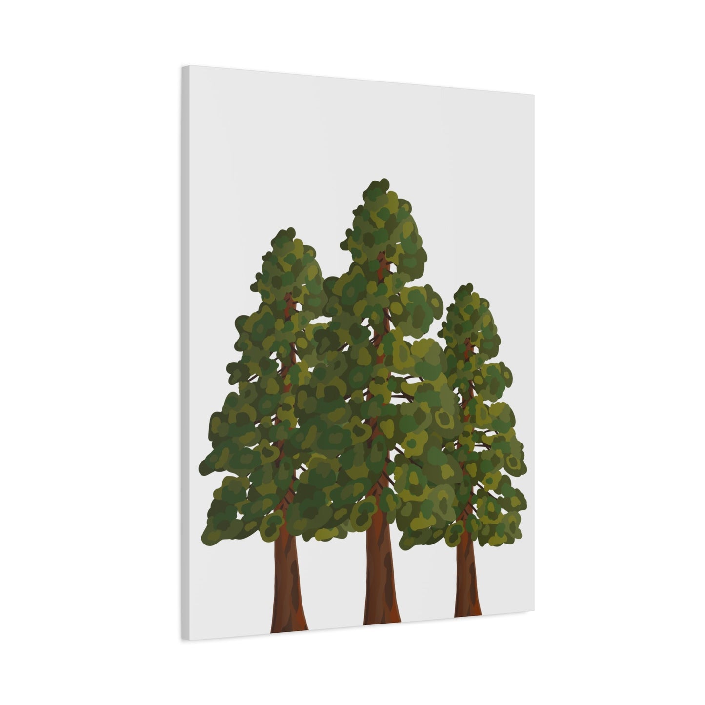 Coastal Redwood Canvas Print – Wall Art