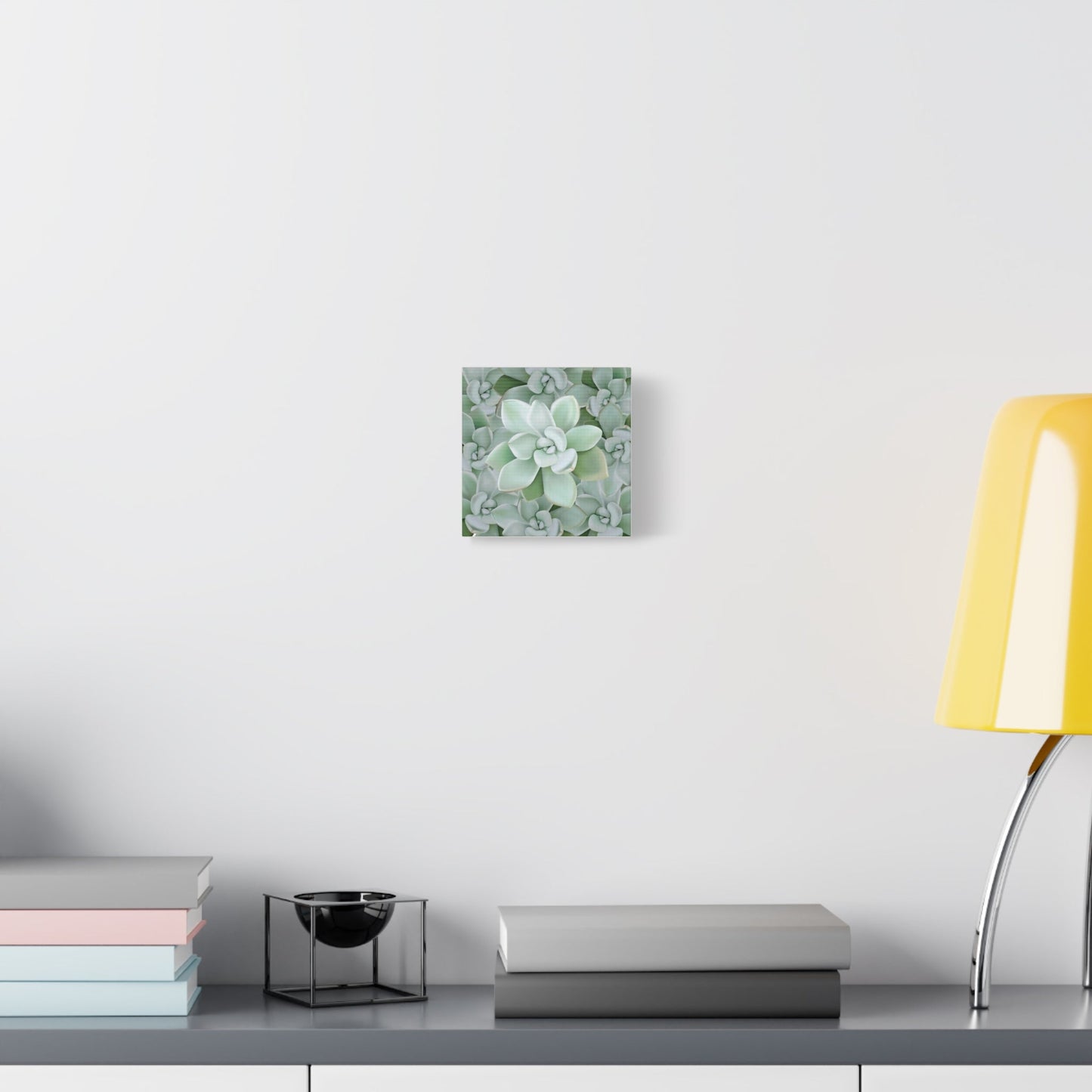 Pachyveria Haagei Succulent Pattern Canvas Print – Botanical Wall Art