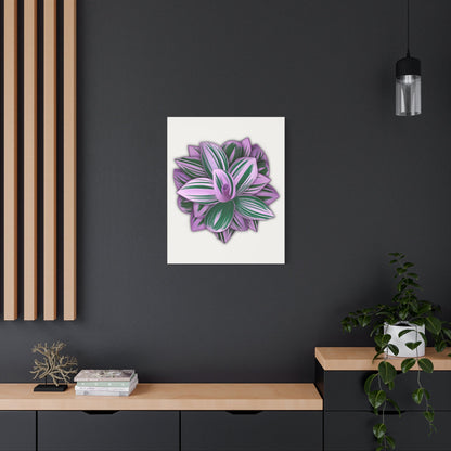 Tradescantia Nanouk Canvas Print – Botanical Wall Art