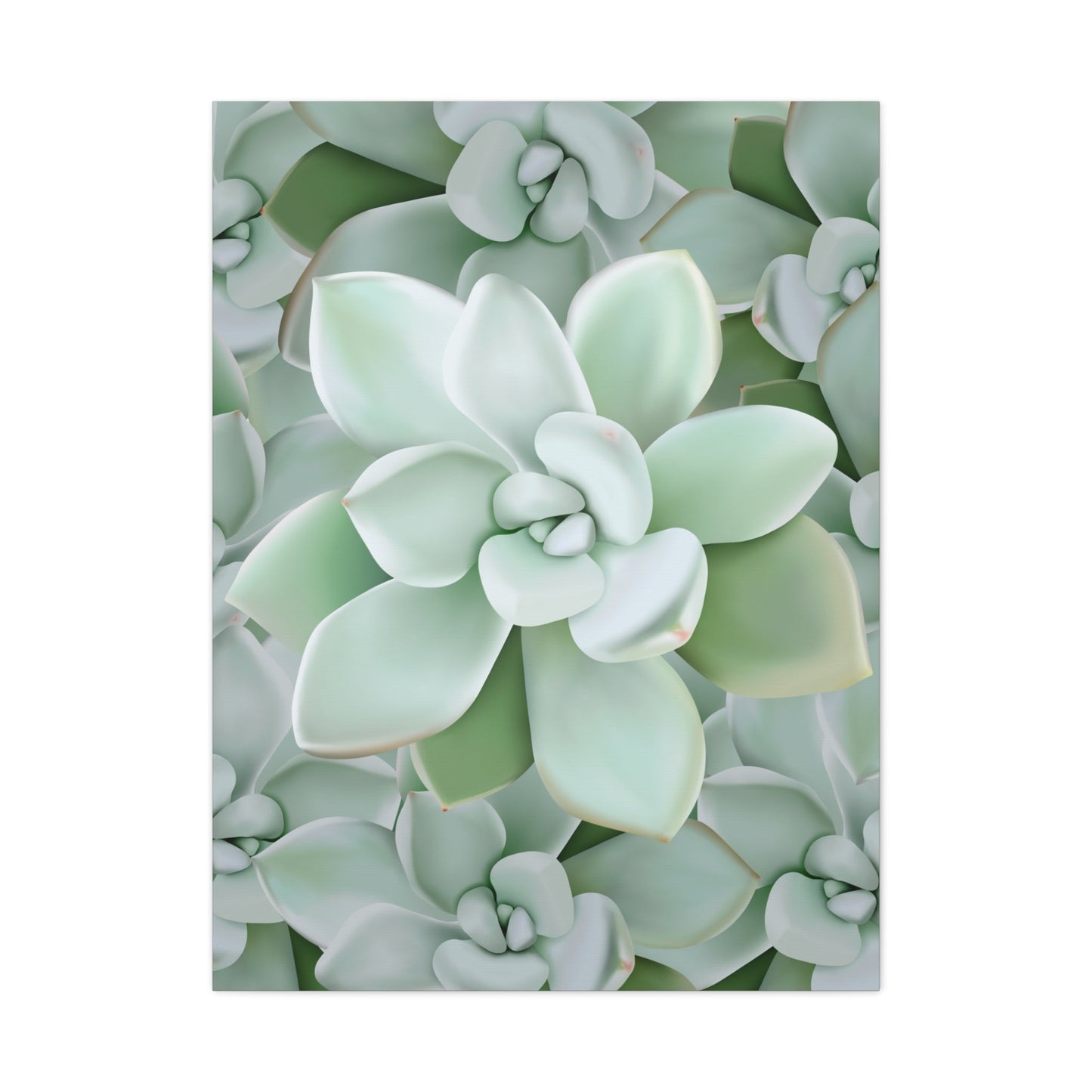 Pachyveria Haagei Succulent Pattern Canvas Print – Botanical Wall Art