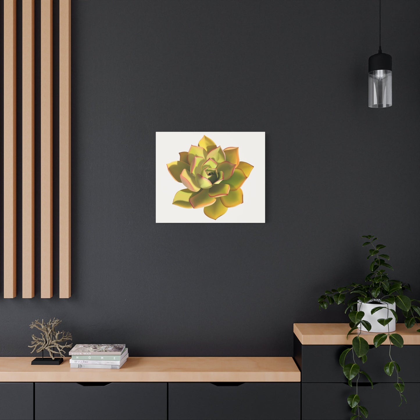 Noble Aeonium Succulent Canvas Print – Botanical Wall Art