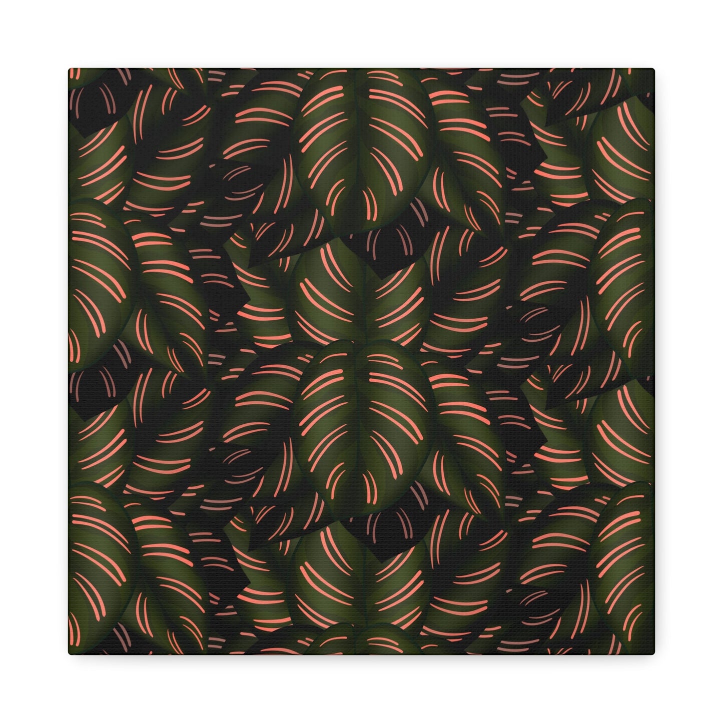 Calathea Pinstripe Pattern Canvas Print – Botanical Wall Art