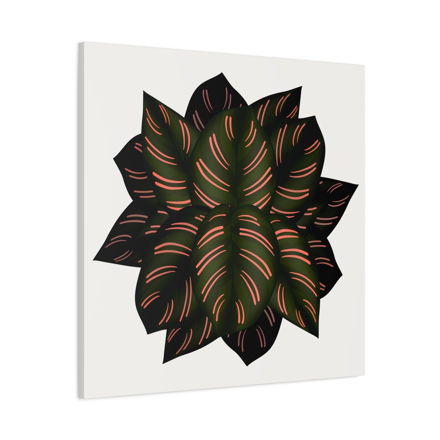 Calathea Pinstripe Canvas Print – Botanical Wall Art