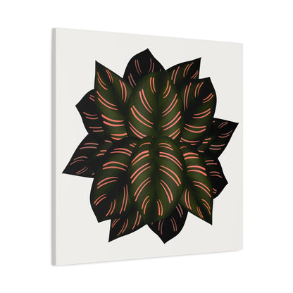 Calathea Pinstripe Canvas Print – Botanical Wall Art