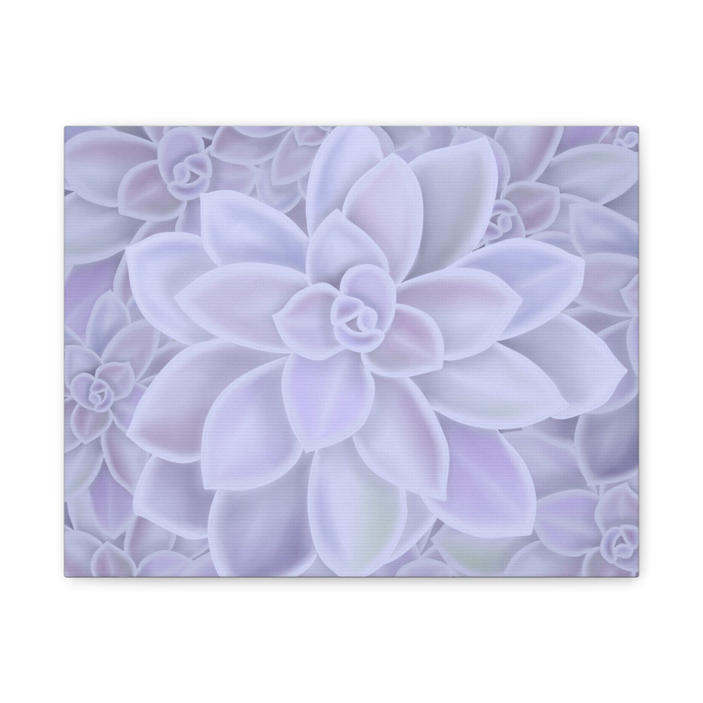 Graptopetalum Murasaki Succulent Pattern Canvas Print – Botanical Wall Art
