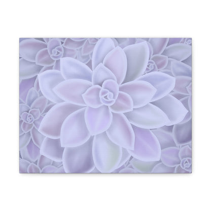 Graptopetalum Murasaki Succulent Pattern Canvas Print – Botanical Wall Art