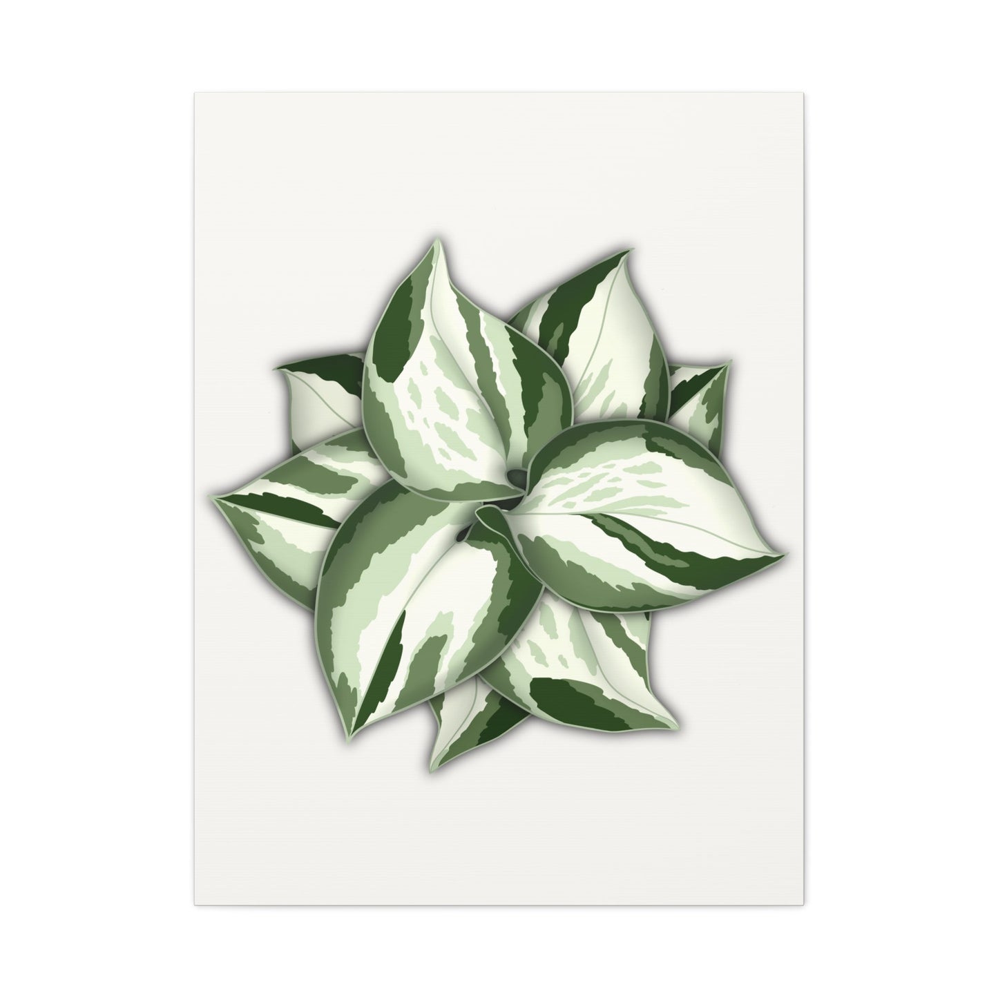 Manjula Pothos Canvas Print – Botanical Wall Art