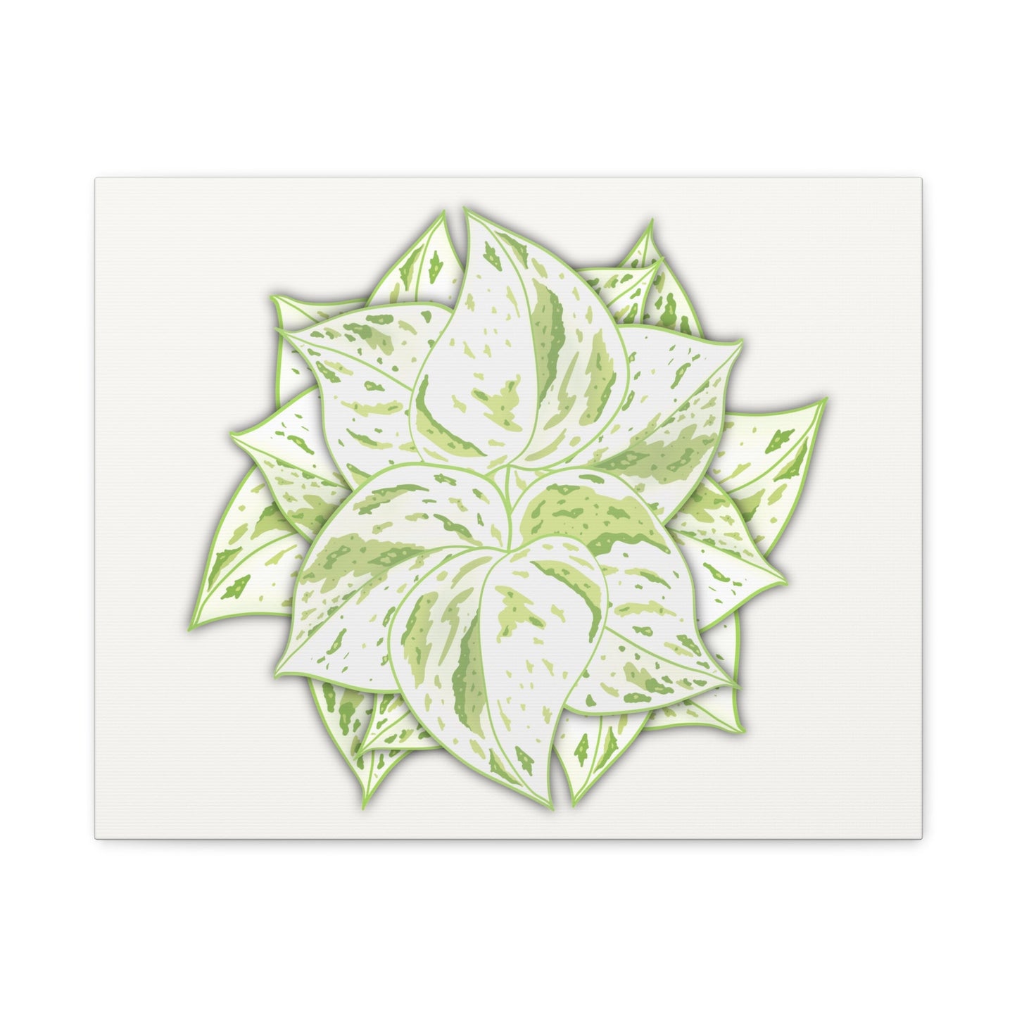 Snow Queen Pothos Canvas Print – Botanical Wall Art