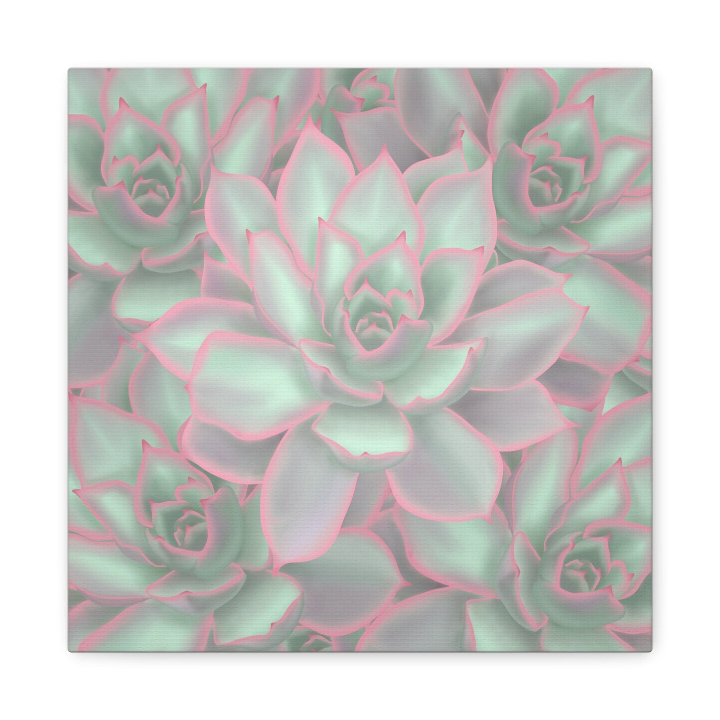 Echeveria Violet Queen Succulent Pattern Canvas Print – Botanical Wall Art