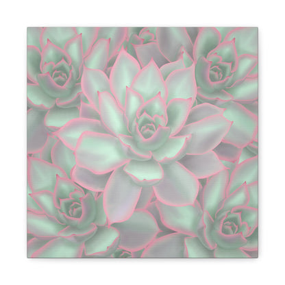 Echeveria Violet Queen Succulent Pattern Canvas Print – Botanical Wall Art