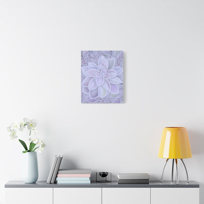 Graptopetalum Murasaki Succulent Pattern Canvas Print – Botanical Wall Art