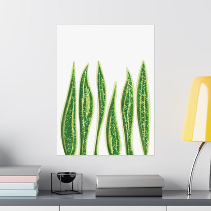 Snake Plant Botanical Print – Unframed Wall Art