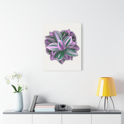 Tradescantia Nanouk Canvas Print – Botanical Wall Art