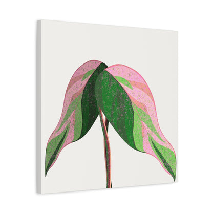 Pink Princess Philodendron Canvas Print – Botanical Wall Art