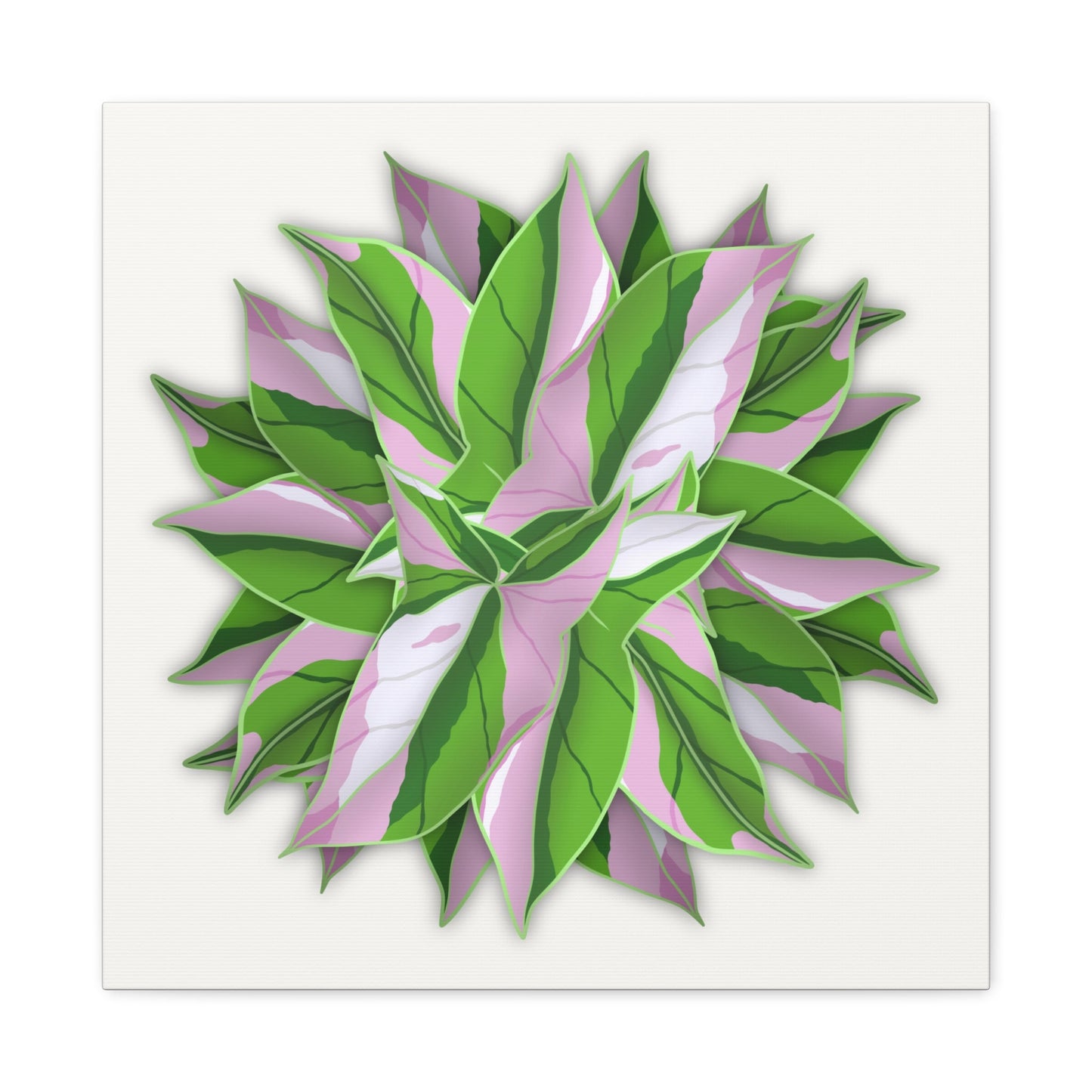 Syngonium Tricolor Pattern Canvas Print – Botanical Wall Art