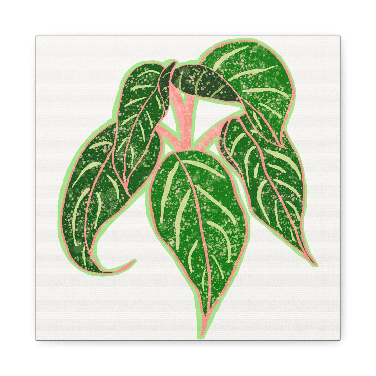 Aglaonema Sparkling Sarah Canvas Print – Botanical Wall Art