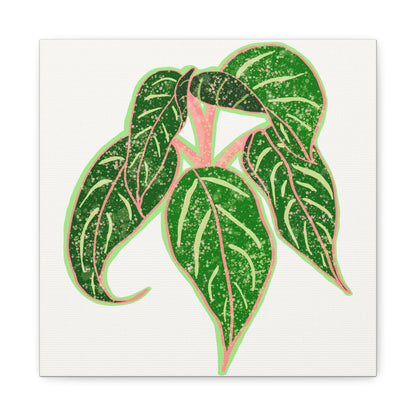 Aglaonema Sparkling Sarah Canvas Print – Botanical Wall Art