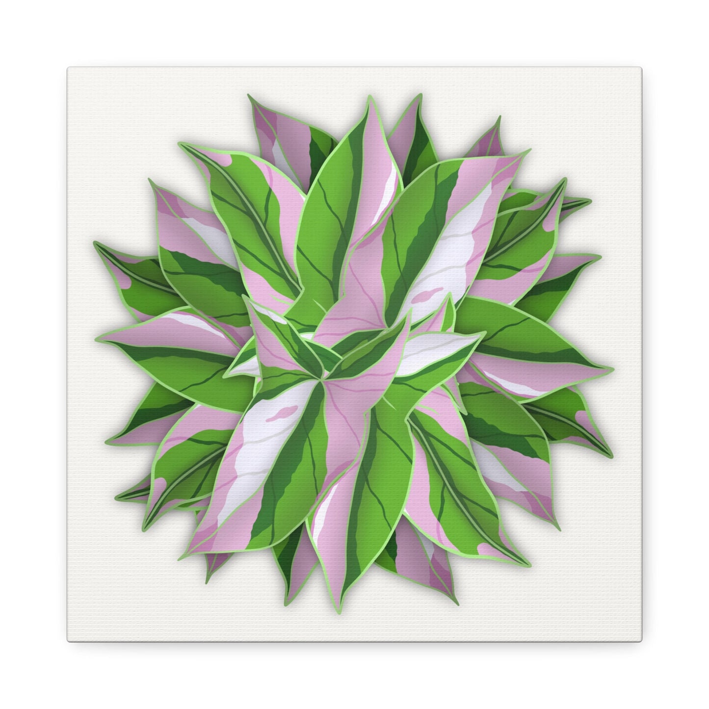 Syngonium Tricolor Pattern Canvas Print – Botanical Wall Art