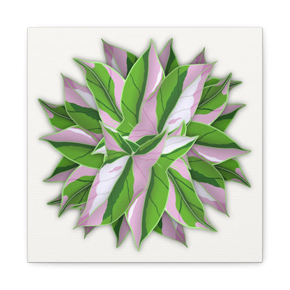 Syngonium Tricolor Pattern Canvas Print – Botanical Wall Art