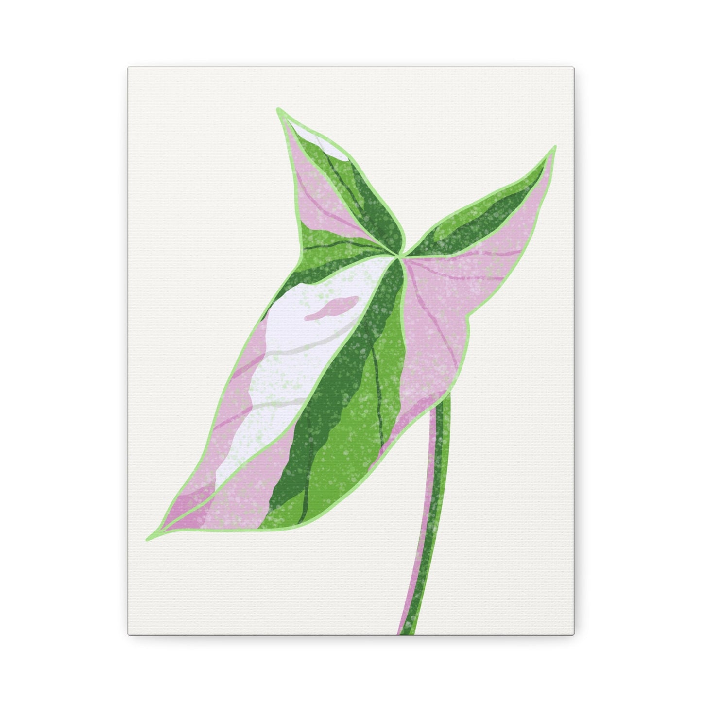 Syngonium Tricolor Canvas Print – Botanical Wall Art