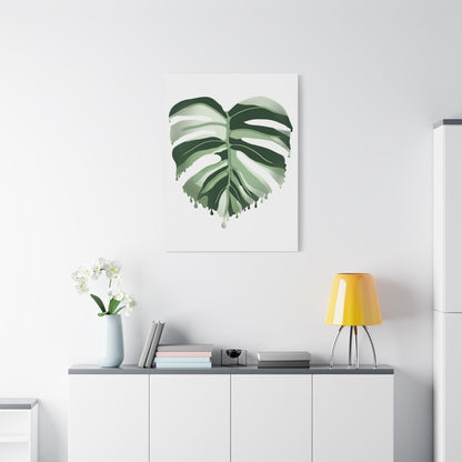 Melting Monstera Albo Canvas Print – Botanical Wall Art