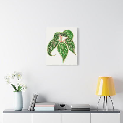 Aglaonema Sparkling Sarah Canvas Print – Botanical Wall Art