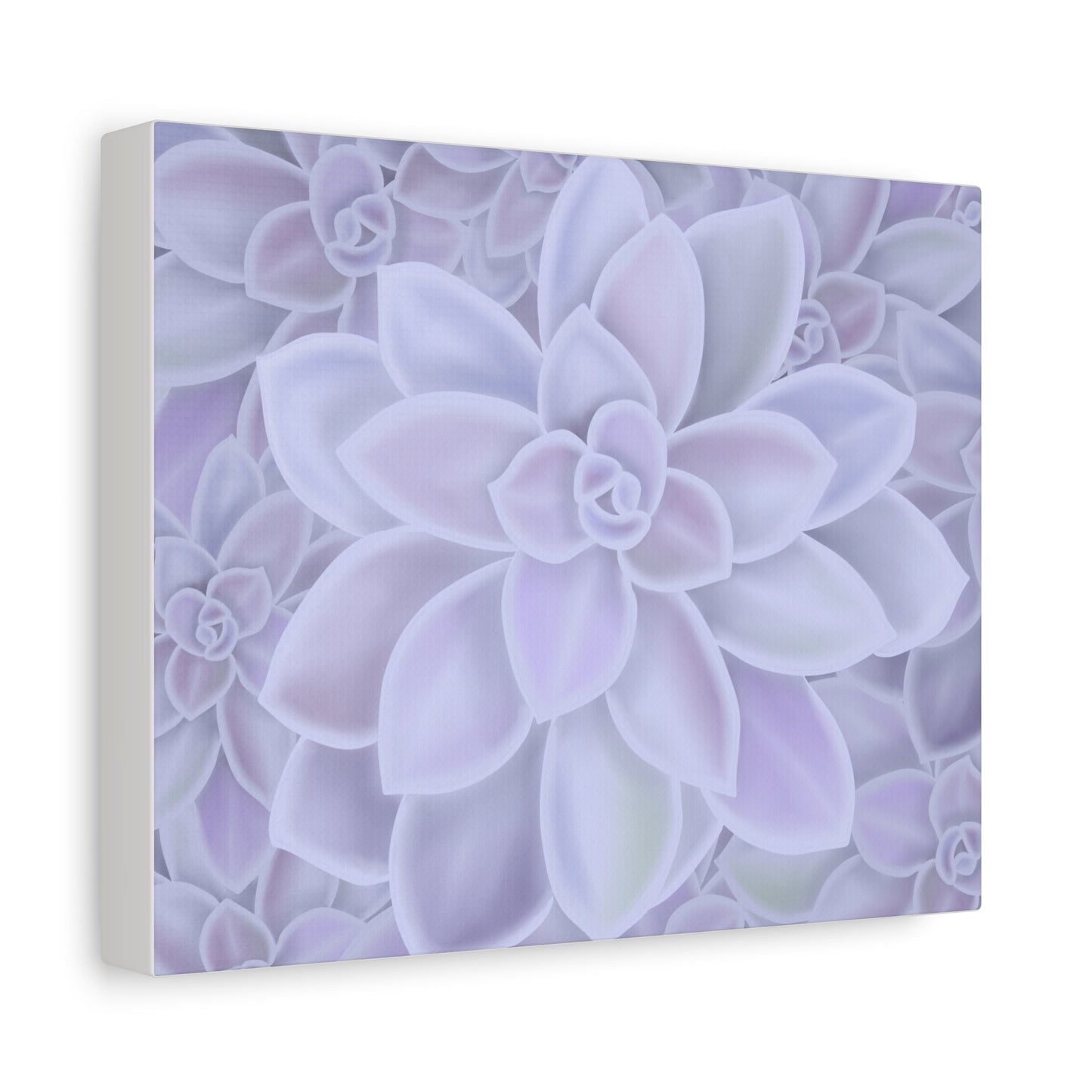 Graptopetalum Murasaki Succulent Pattern Canvas Print – Botanical Wall Art