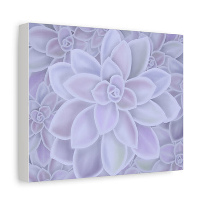 Graptopetalum Murasaki Succulent Pattern Canvas Print – Botanical Wall Art