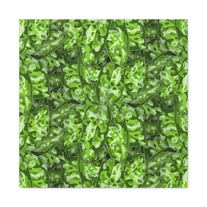 Aglaonema Pictum Canvas Print – Botanical Wall Art