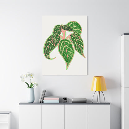 Aglaonema Sparkling Sarah Canvas Print – Botanical Wall Art