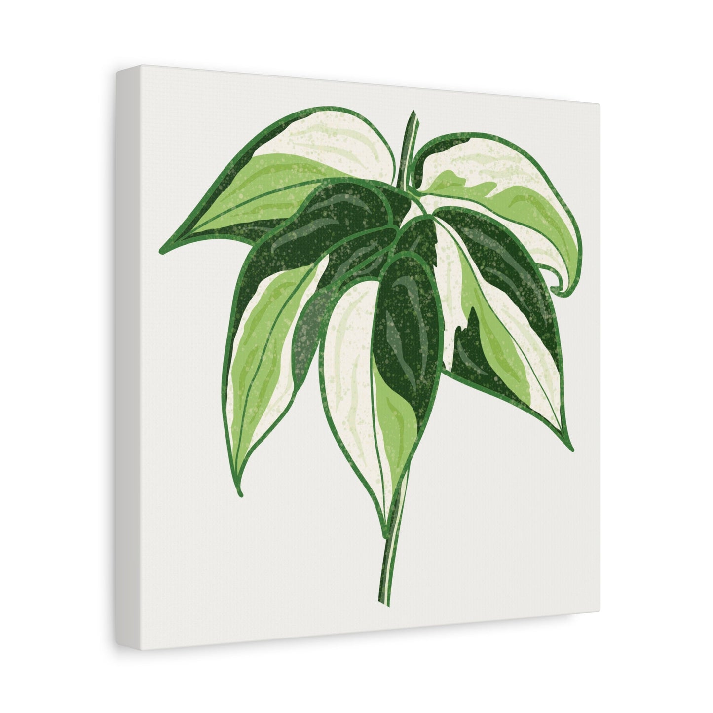 Philodendron Cream Splash Canvas Print – Botanical Wall Art