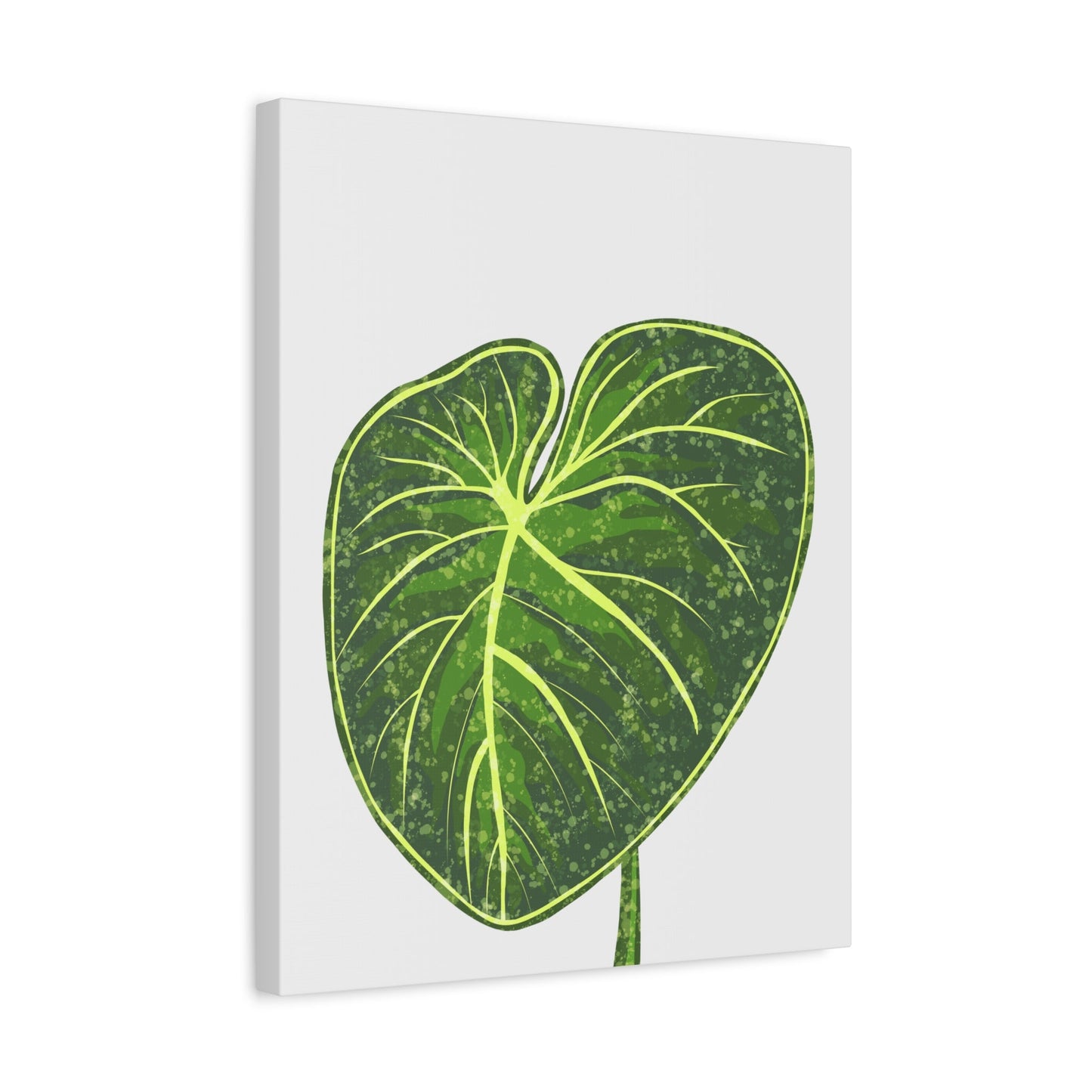 Philodendron Gloriosum Canvas Print – Botanical Wall Art