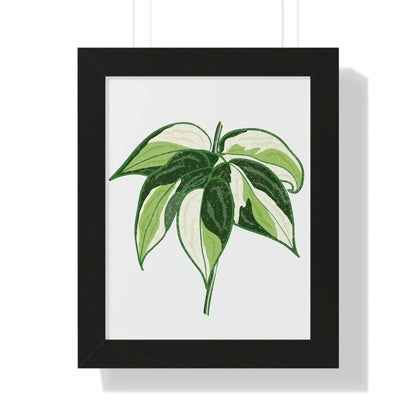 Philodendron Cream Splash Framed Print – Botanical Wall Art