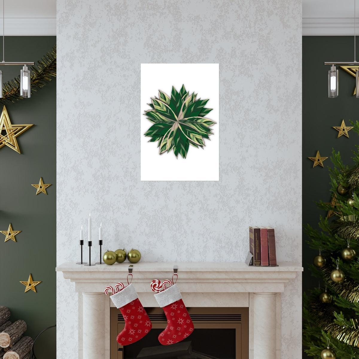 Stromanthe Triostar Botanical Print – Unframed Wall Art
