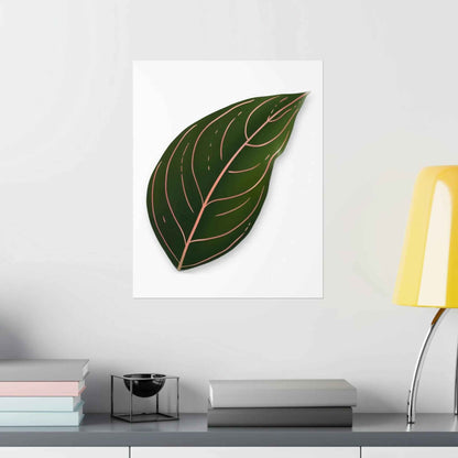 Aglaonema Rotundum Botanical Print – Unframed Wall Art