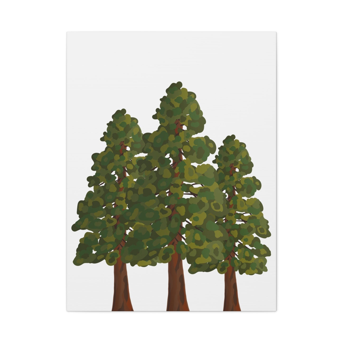 Coastal Redwood Canvas Print – Wall Art