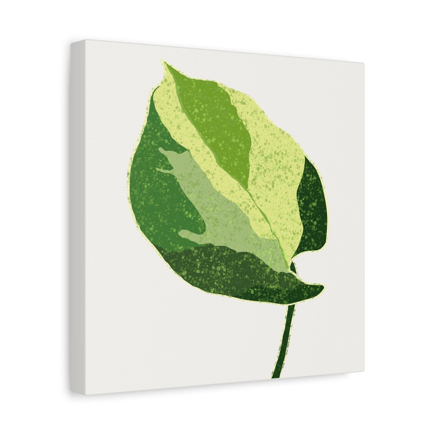 Manjula Pothos Illustrated Canvas Print – Botanical Wall Art