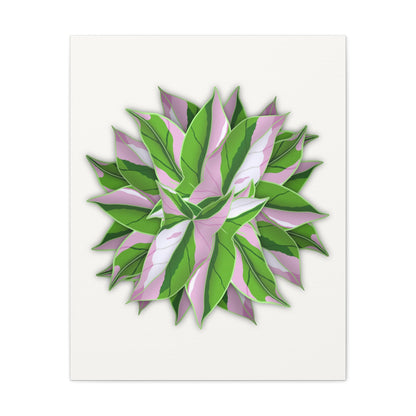 Syngonium Tricolor Pattern Canvas Print – Botanical Wall Art