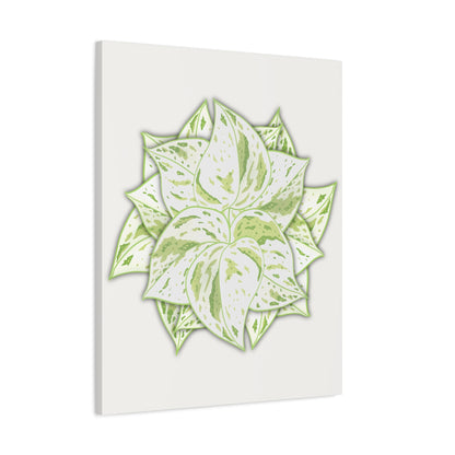 Snow Queen Pothos Canvas Print – Botanical Wall Art