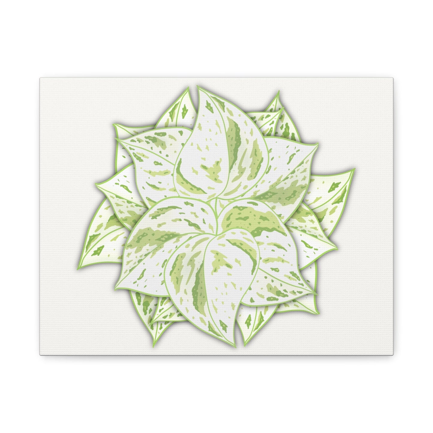 Snow Queen Pothos Canvas Print – Botanical Wall Art
