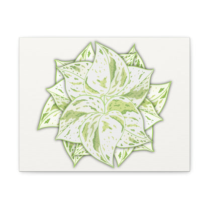 Snow Queen Pothos Canvas Print – Botanical Wall Art
