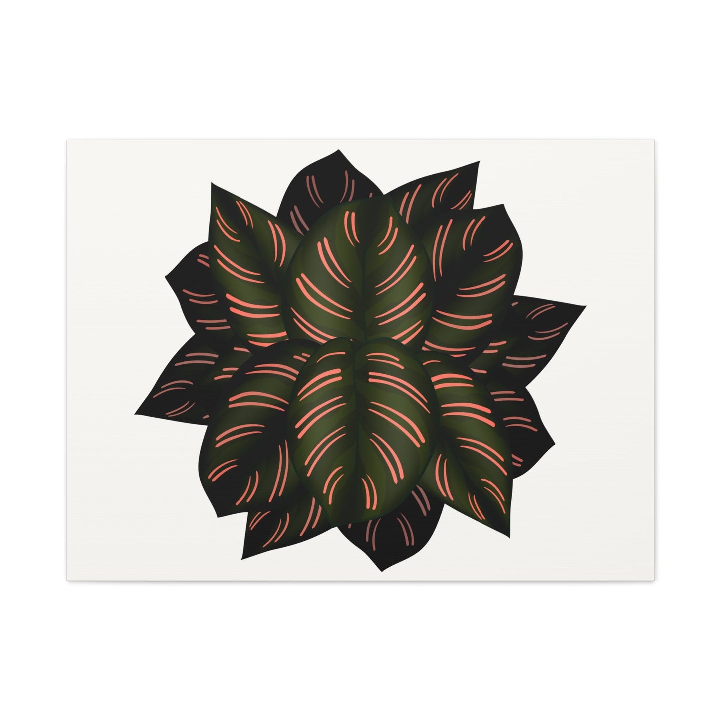 Calathea Pinstripe Canvas Print – Botanical Wall Art