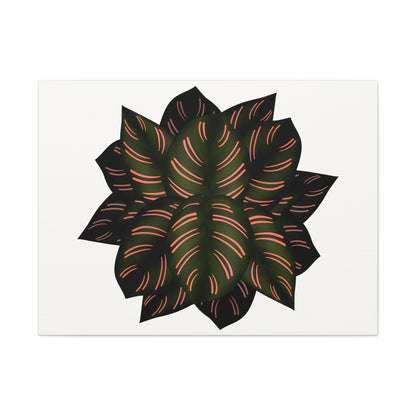 Calathea Pinstripe Canvas Print – Botanical Wall Art