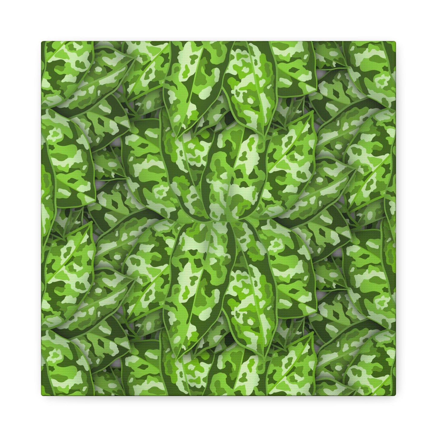 Aglaonema Pictum Canvas Print – Botanical Wall Art