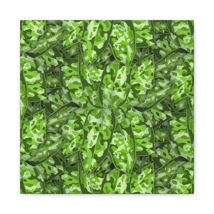 Aglaonema Pictum Canvas Print – Botanical Wall Art