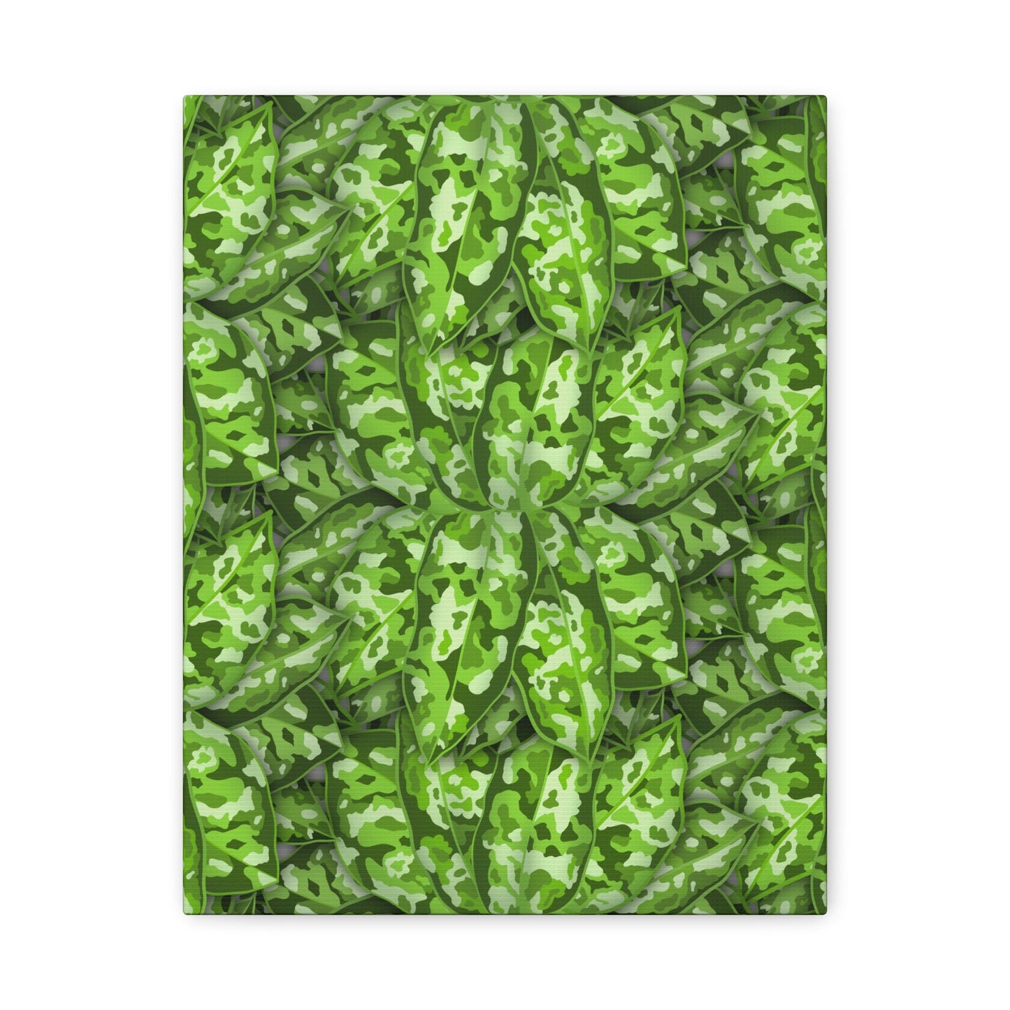 Aglaonema Pictum Canvas Print – Botanical Wall Art
