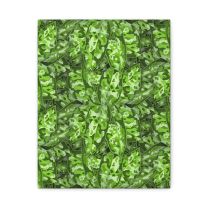 Aglaonema Pictum Canvas Print – Botanical Wall Art