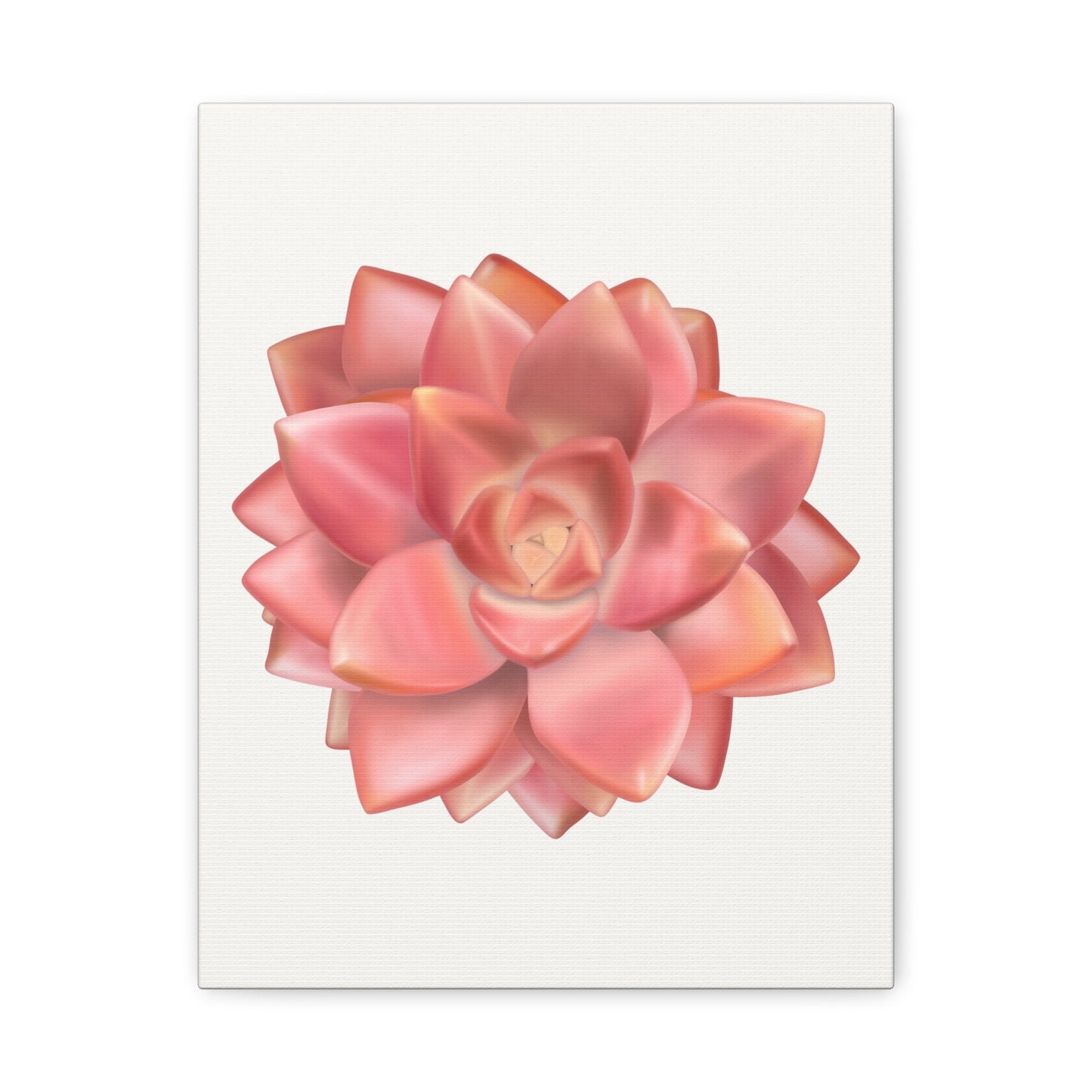 Graptosedum California Sunset Succulent Canvas Print – Botanical Wall Art