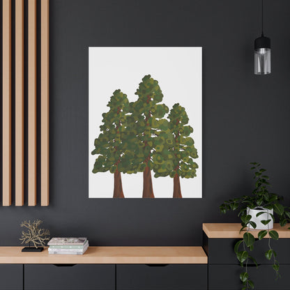 Coastal Redwood Canvas Print – Wall Art